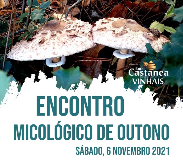 Xornadas micolóxicas no marco da Rural Castanea de Vinhais.