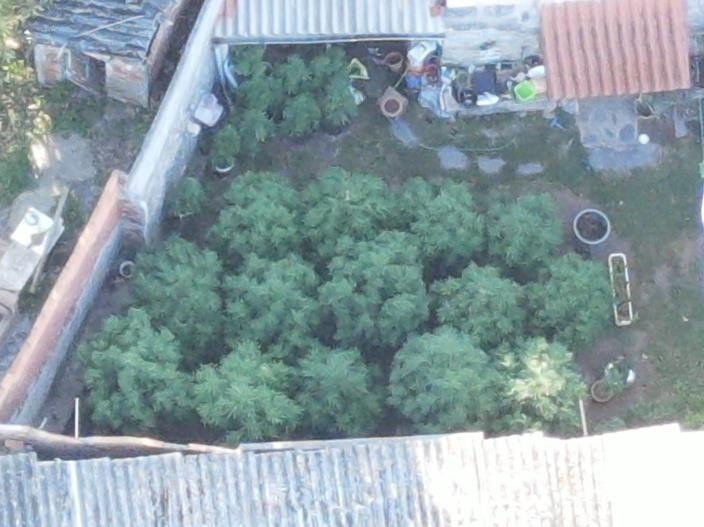 Imagen aérea de la plantación localizada por la Guardia Civil.