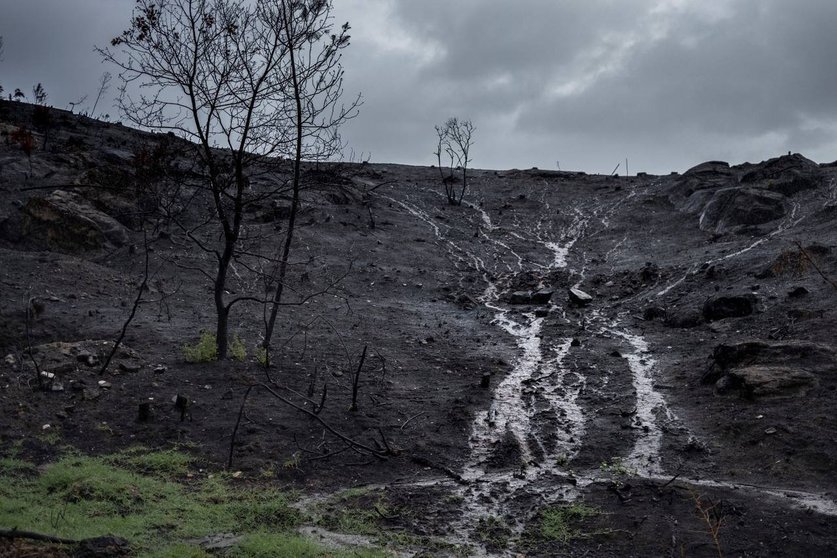 La lluvia arrastra los restos calcinados del incendio de Verín: | FOTO: ©Greenpeace/Pedro Armestre.