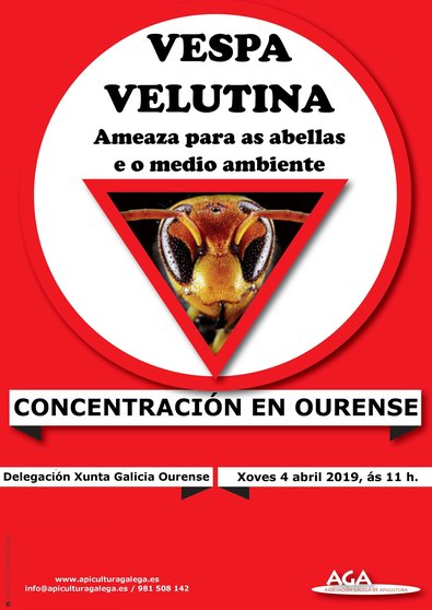 cartaz web concentracion ourense 04_04_19