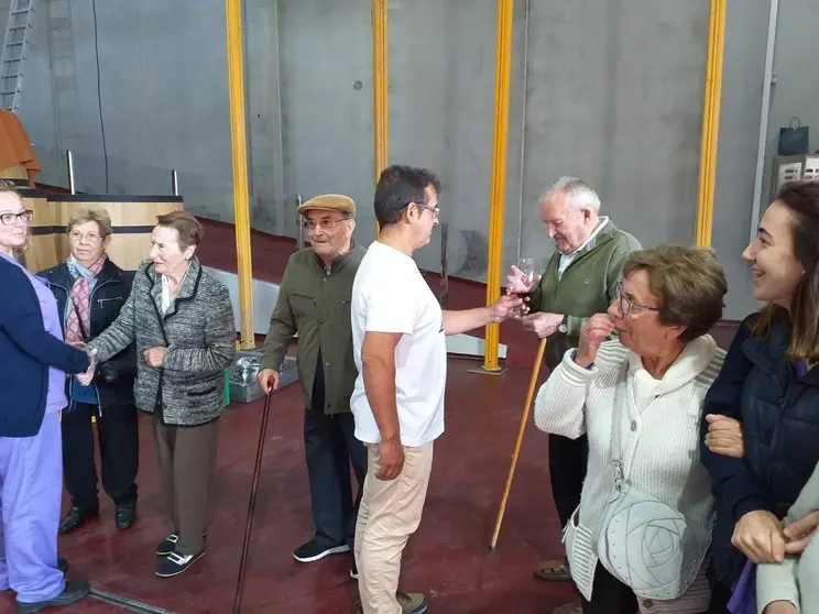 vino1