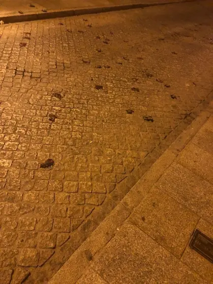 murci1
