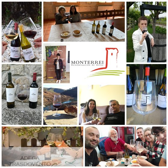 Bodegas, catadores, personal técnico y la presidenta del C.R.D.O. Monterrei, Lara Da Silva, brindano por el vino de Denominación. | FOTO: D. O. Monterrei.
