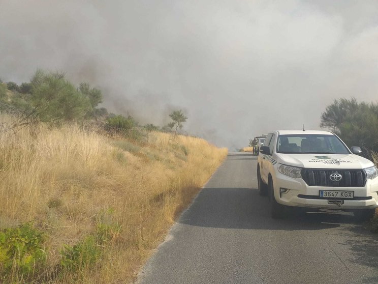 As brigadas de Medio Rural desprazadas na fronteira para actuar no incendio de Mairo. | FOTO: Xosé Lois Colmenero.