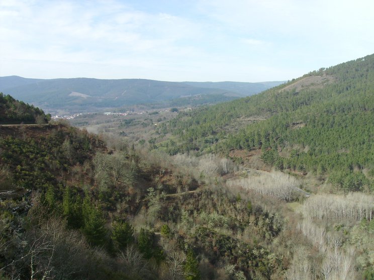 A comunidade de montes de Cimadevila, Souteliño e Laza colocou no mercado dereitos de compensación de 3.745 toneladas de CO2.