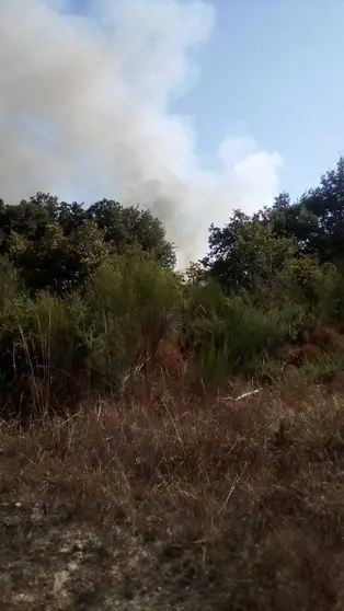 Un dos focos de onte pola noite v&eacute;n de reactivarse hai uns minutos en Santa Baia de Montes (Cualedro).