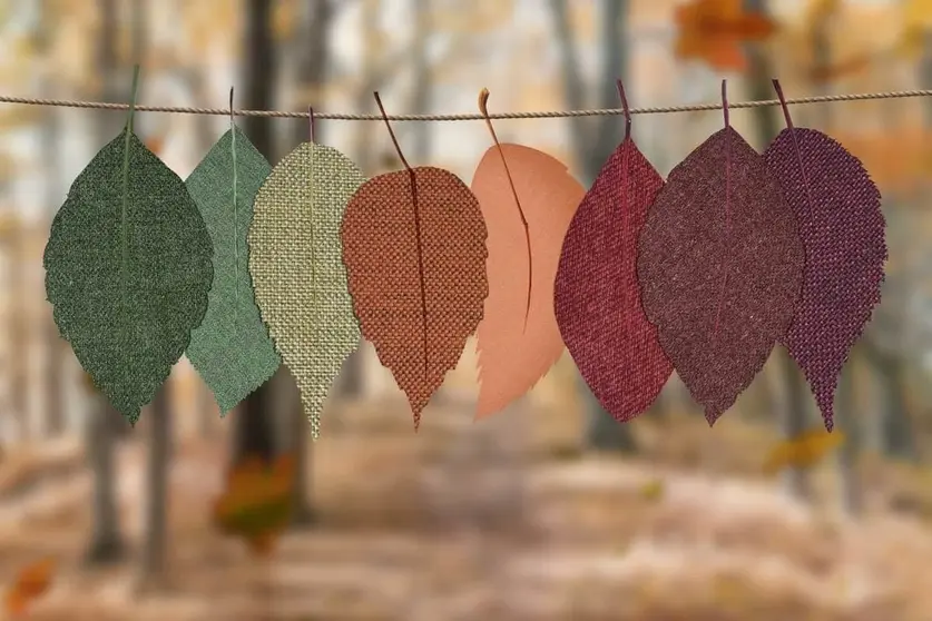  Rituales equinoccio oto&ntilde;o 2020 &iexcl;10 formas de celebrarlo por todo lo alto! Foto: Pexels 