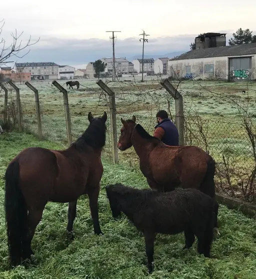 El propietario de los equipos, en el momento de recogerlos en el parque de Fontenova.