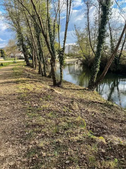 As&iacute; loce xa parte da ribeira do r&iacute;o T&aacute;mega ao seu paso por Ver&iacute;n. | FOTO: Carlos Montero.
