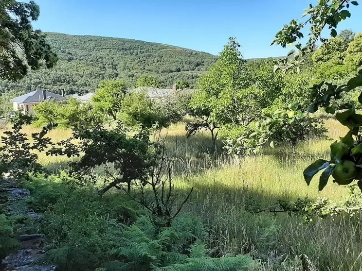 Lugar donde se ubicar&aacute; la residencia de Lubi&aacute;n.