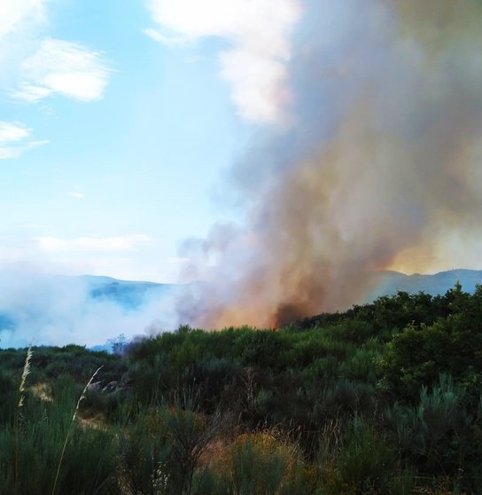 Incendio en Santa Baia de Montes (Cualedro)