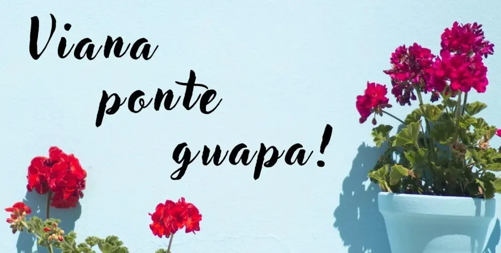 Concurso. Decoraci&oacute;n r&uacute;a. Viana. Ponte guapa (1)