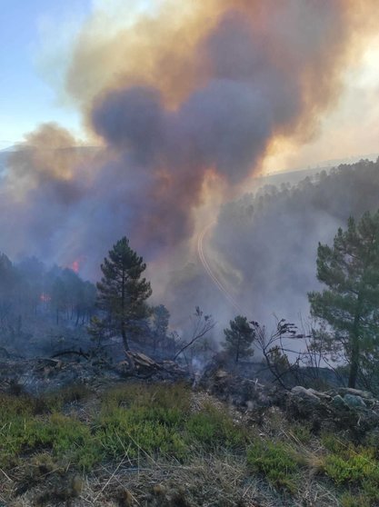 El incendio de Campobecerros sigue muy activo esta mañana de lunes 15 de agosto. | FOTO: Xosé Barxa Branco.