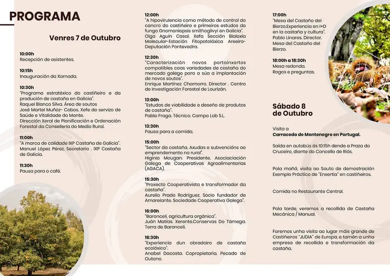 Programaci&oacute;n do Foro da Casta&ntilde;a de Ri&oacute;s.