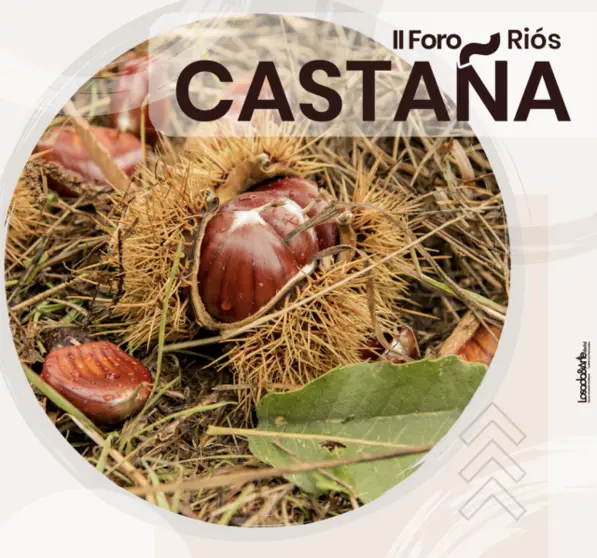 II Foro da Casta&ntilde;a - Ri&oacute;s - 02 (FILEminimizer)