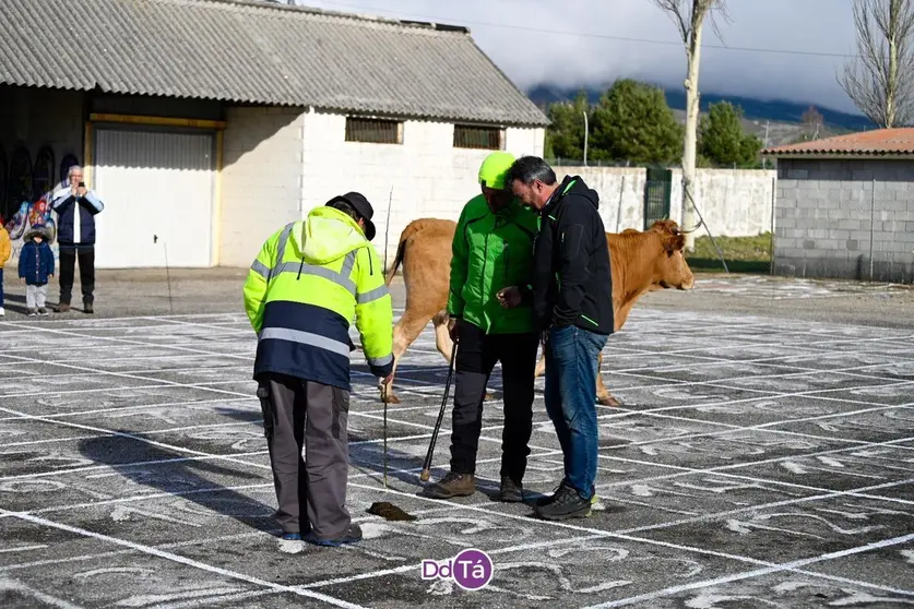 Componentes del equipo de jueces, determinando el lugar preciso de la cagada de "Ayuso". | FOTO: Noelia Caseiro.