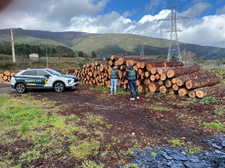 Agentes de la Guardia Civil, con varia madera incautada, midiendo su calibre. | FOTO: G. C.