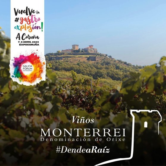 Los vinos de Monterrei estarán presentes en A Coruña hasta este martes.