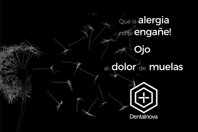 202405_Dentalnova_alerxias