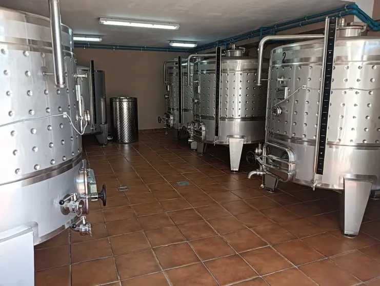 Interior de la nueva bodega amparada bajo la Denominaci&oacute;n.