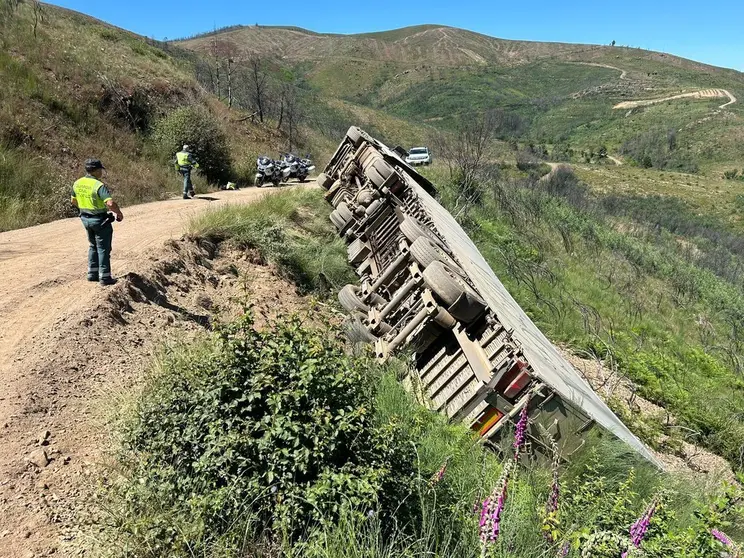 La pista en la que tuvo lugar el accidente &uacute;nicamente era usada por las empresas madereras destinadas en el lugar.