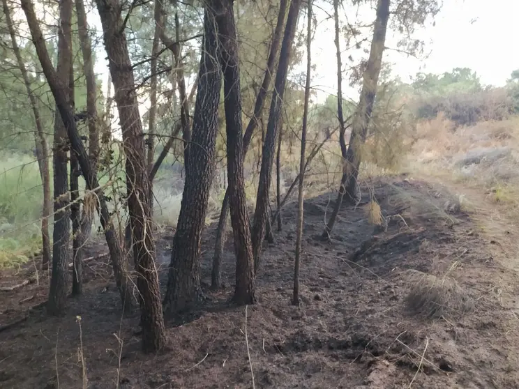 20240626 Conato de incendio en A Rasela, Ver&iacute;n