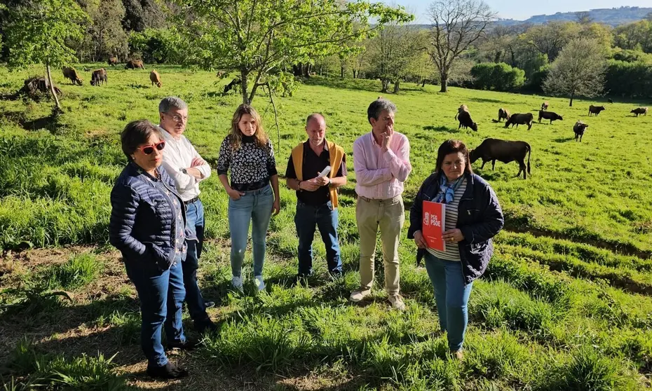 Diputados socialistas de Ourense visitan granjas afectadas por la EHE en Vilardev&oacute;s.