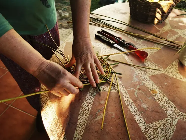 Elaboraci&oacute;n de cester&iacute;a de mimbre en Vilardev&oacute;s.
