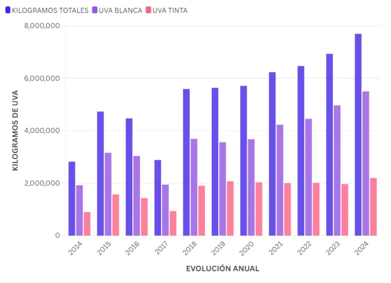 La Denominaci&oacute;n de Origen Monterrei se sit&uacute;a cerca de los 8.000.000 de kilogramos.