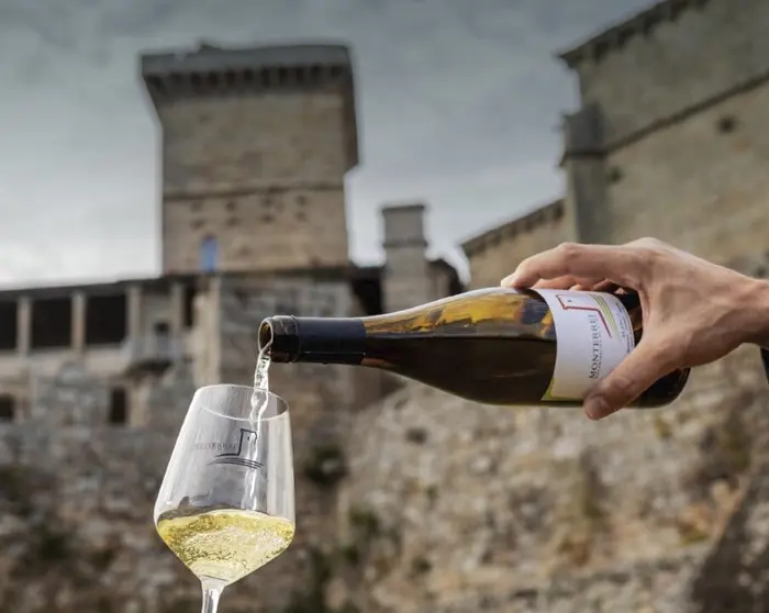 Vi&ntilde;os DO Monterrei vino godello castelo