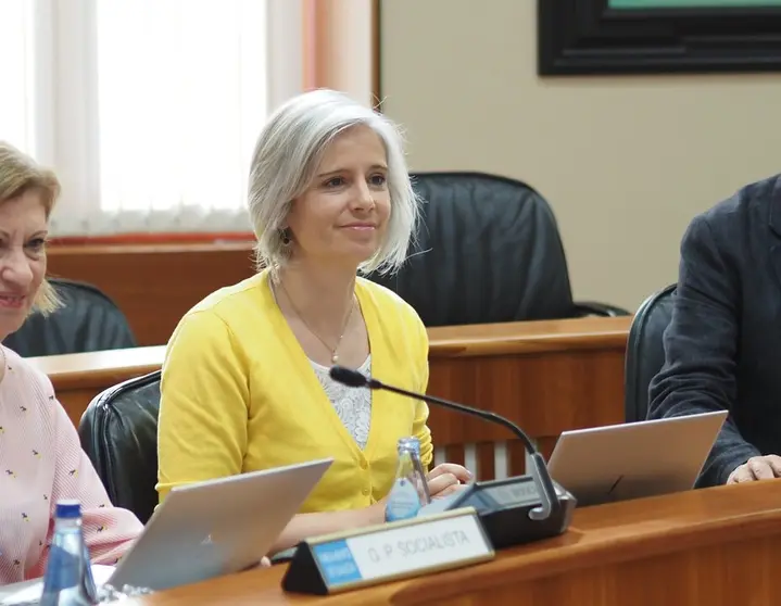 Patricia Iglesias, portavoz de Calidade Democr&aacute;tica do PSdeG