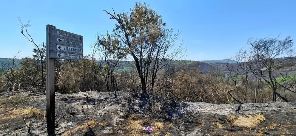 Entrada a Soutocobo, una de las zonas donde comenz&oacute; el incendio de Vilardev&oacute;s la noche del 1 de agosto.