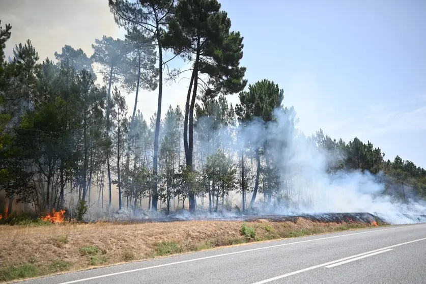 Incendio en entre Tamagos y Mourazos.
