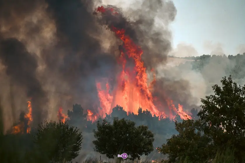 incendio mourazos-38