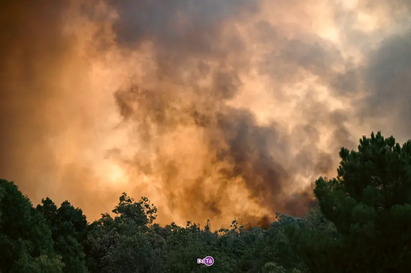 El incendio de Mourazos, este lunes, calcin&oacute; casi 10 hect&aacute;reas. | FOTO: Noelia Caseiro.