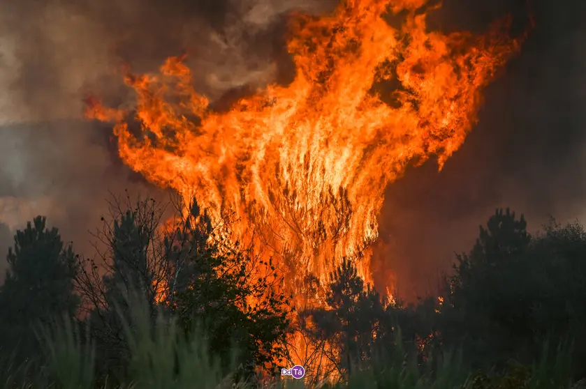 incendio mourazos-47