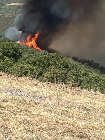 La cabeza del fuego, este lunes, pocos minutos despu&eacute;s de iniciarse.