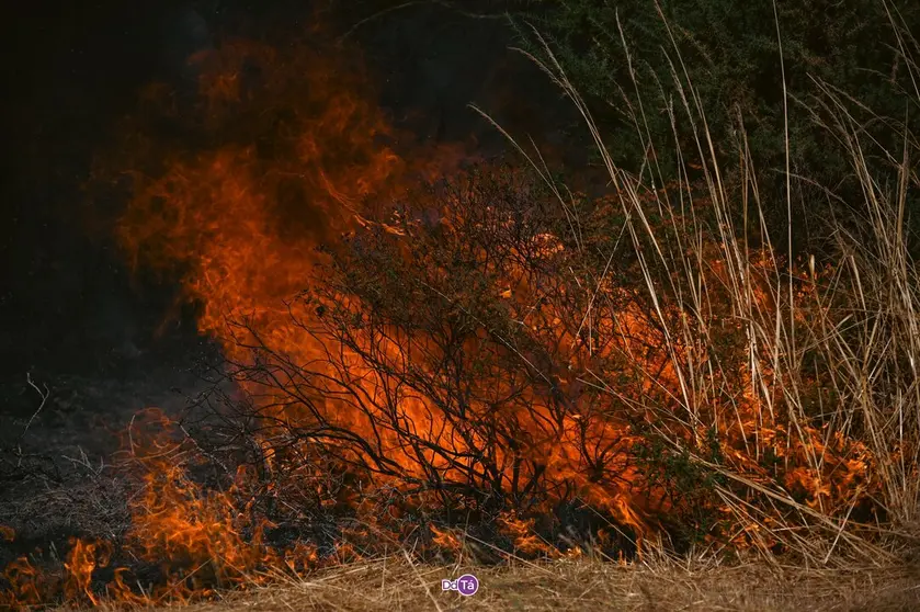20250812 IFAGranxaO&iacute;mbra, incendio O&iacute;mbra, lume, as ch&aacute;s, a granxa, ladairo (43)