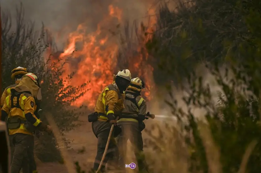 20250813 Incendio O&iacute;mbra, IFAGranxaO&iacute;mbra, Monterrei, estrada A Salgueria-Flariz (6)