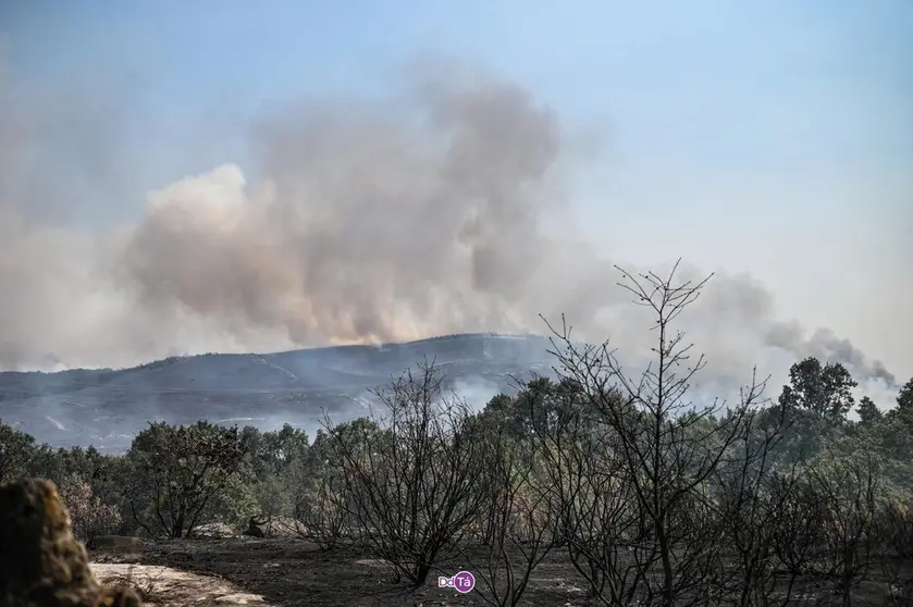 20250814 IFAEsculqueiraAMezquita, Incendio A Gudi&ntilde;a, O Canizo, tierra quemada (7)