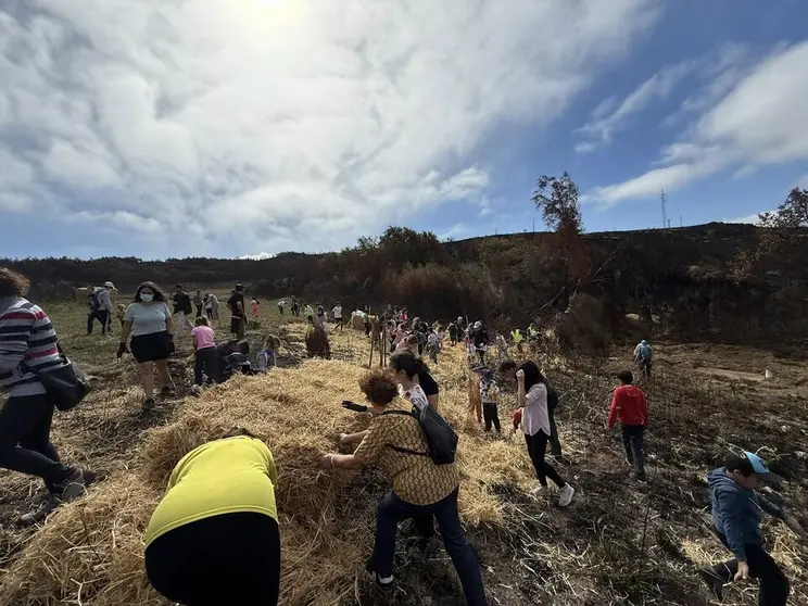 Xornada prevenci&oacute;n e recuperaci&oacute;n dos incendios forestais Cualedro