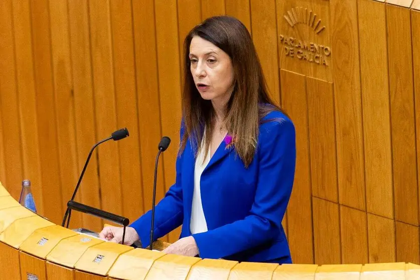 20251104 Mar&iacute;a Jos&eacute; G&oacute;mez orzamento incendios forestais parlamento