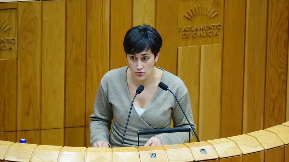 Ariadna Fern&aacute;ndez durante unha intervenci&oacute;n parlamentaria sobre servizos sociais.
