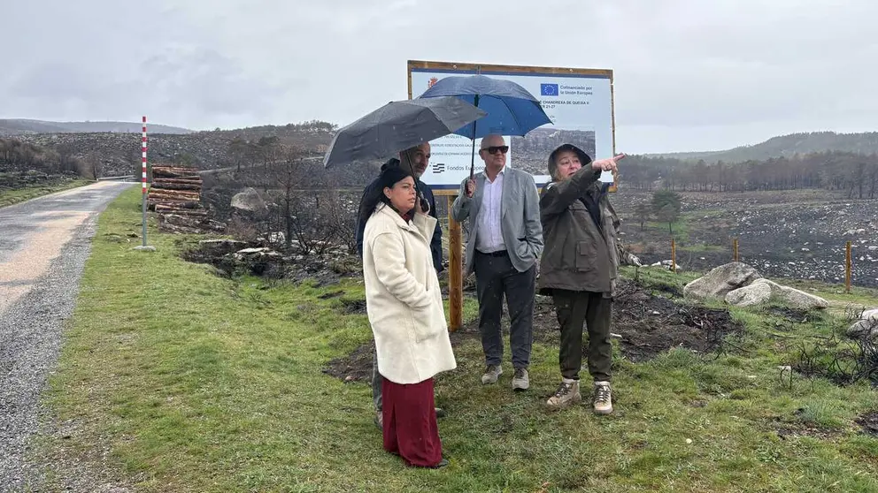 El subdelegado del Gobierno en Ourense, Eladio Santos, supervisa bajo la lluvia los trabajos de restauraci&oacute;n forestal financiados por el Estado.