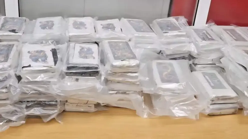 Material incautado por la Polic&iacute;a Nacional.