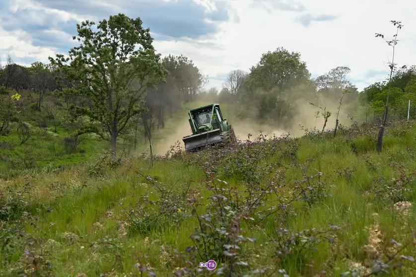 Durante a visita, un tractor realizaba labores de desbroce no per&iacute;metro do futuro pol&iacute;gono. | FOTO: Noelia Caseiro.