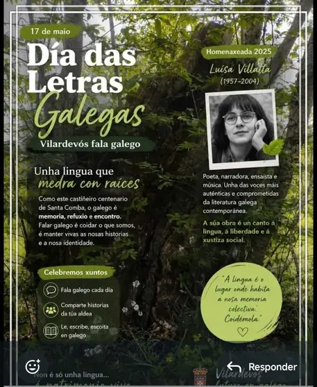 Captura da publicaci&oacute;n err&oacute;nea no D&iacute;a das Letras Galegas que foi retirada de xeito apresurado das redes de Vilardev&oacute;s.