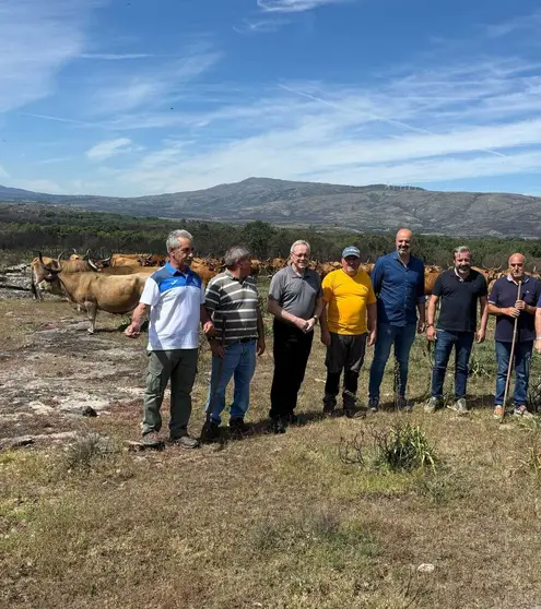 O director xeral de Gandar&iacute;a, Jos&eacute; Balseiros, xunto a gandeiros e representantes locais durante a visita &aacute; explotaci&oacute;n de vaca cachena en Cualedro.