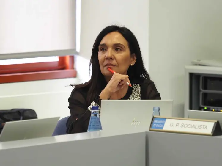 Carmen Rodr&iacute;guez Dacosta interpelar&aacute; a la conselleira do Medio Rural sobre el dispositivo de incendios.