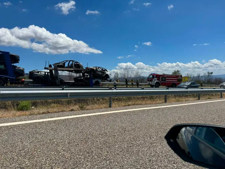 El cami&oacute;n transportaba veh&iacute;culos el&eacute;ctricos.